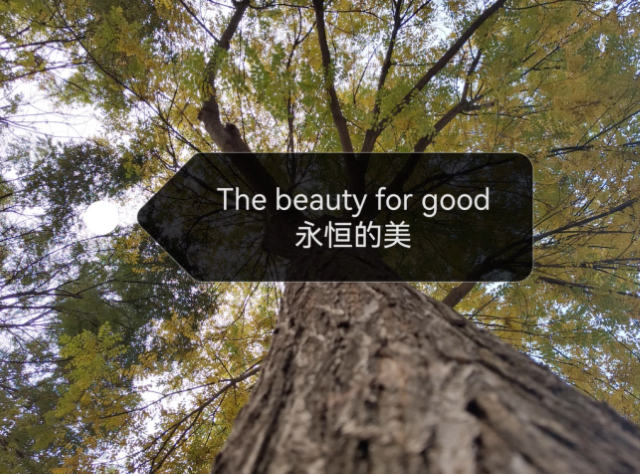 【完满演绎·课堂篇】太阳集团0638大探秘Explore the campus spots