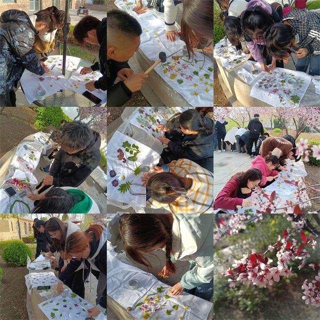 【完满演绎·课堂篇】“幸福课”非遗体验系列课程之“草木知时节 拓染记春色”