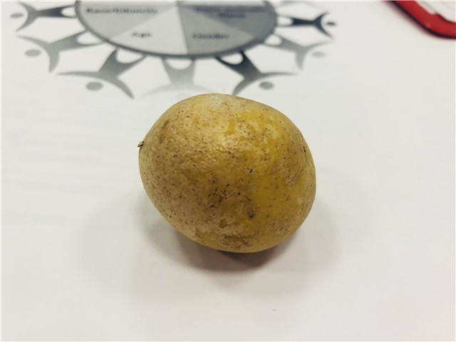 【0638太阳集团官网NIU荣誉生项目专题报道二】NIU访问进行时,我们在大洋彼岸获得成长