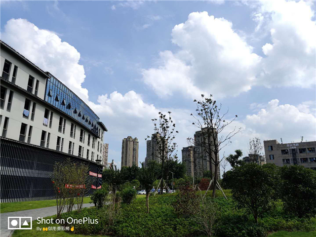 【两校交流·学子篇】听歌最怕应景,触景最怕生情