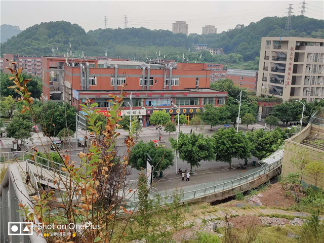 【两校交流·学子篇】听歌最怕应景,触景最怕生情