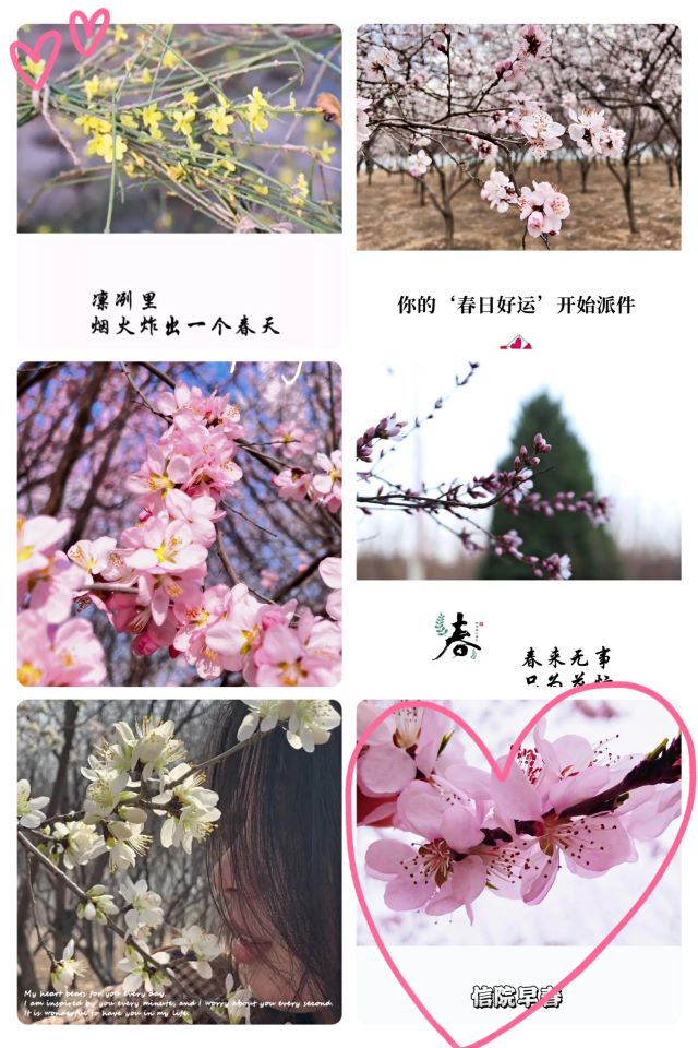 【博雅传统•导师篇】云游春景春光好,行令雅集雅事多——记博雅传统文化系列活动之“上巳丽人行”