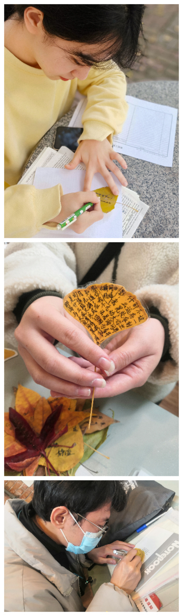 【诗意栖居·课堂篇】解落三秋叶,能开二月花——在文学课堂邂逅生活的诗意