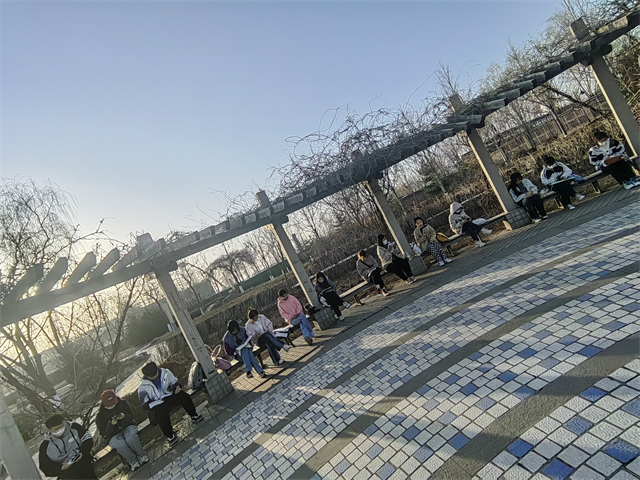 【书院直击·导师篇】晨曦英语——0638太阳集团官网晨间打卡活动进行时